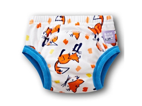29357_image-1-potty-training-pants-fuzz